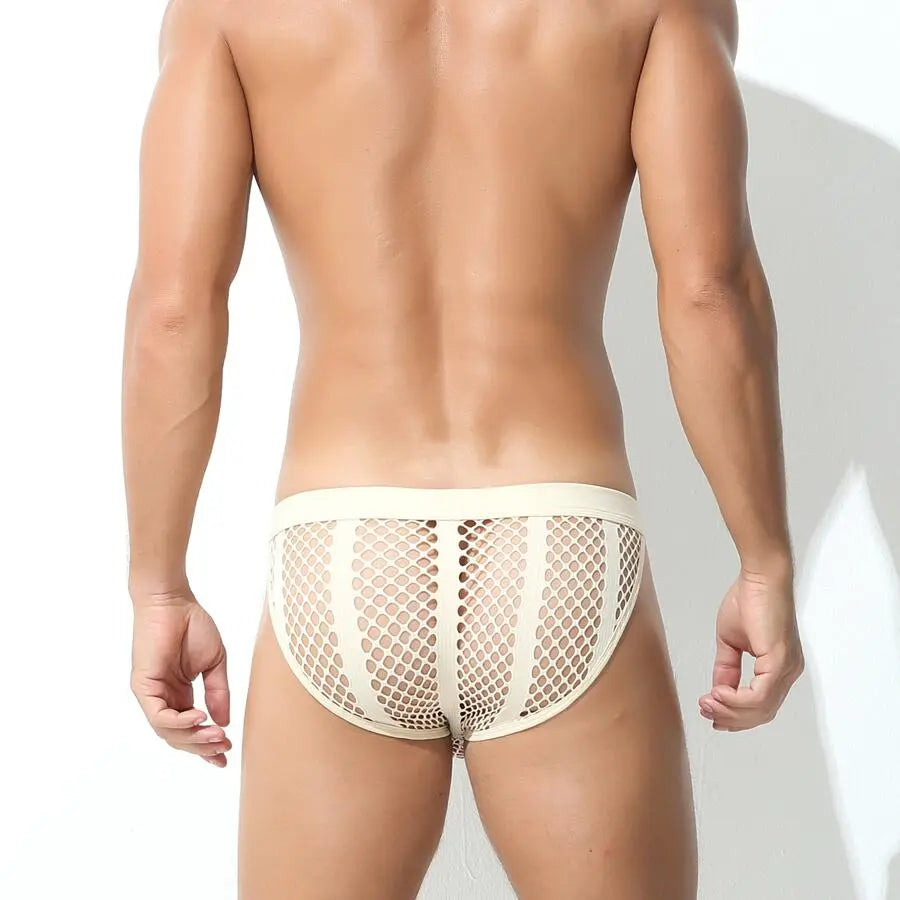 Shadow Mesh Briefs