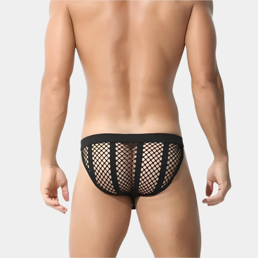 Shadow Mesh Briefs