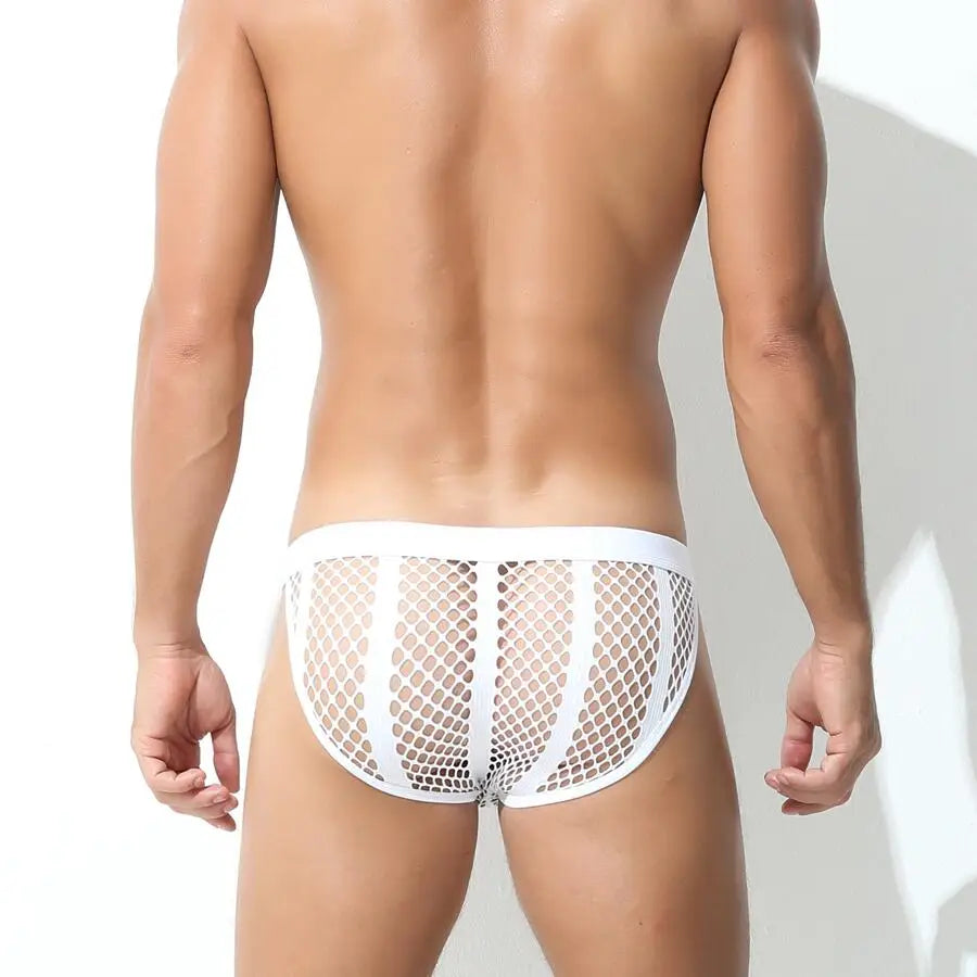 Shadow Mesh Briefs