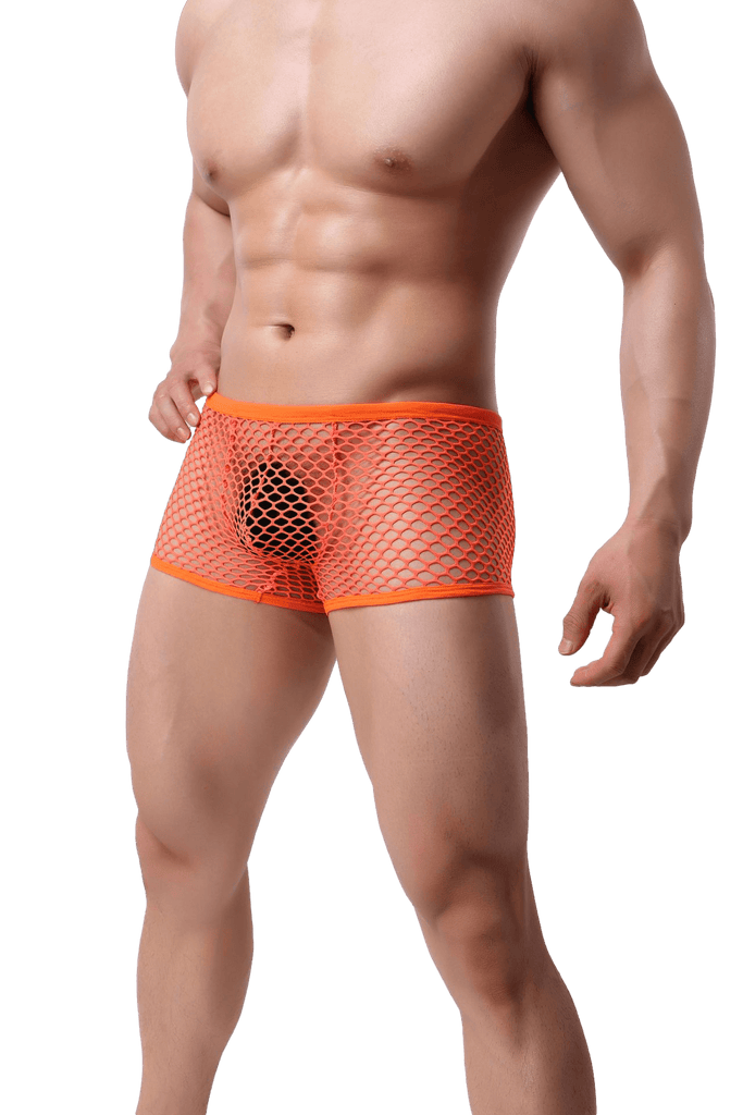 Show It Low-Rise Mesh Trunks
