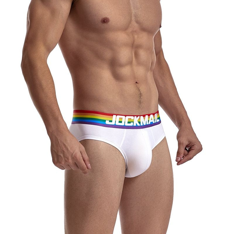 rainbow briefs for men