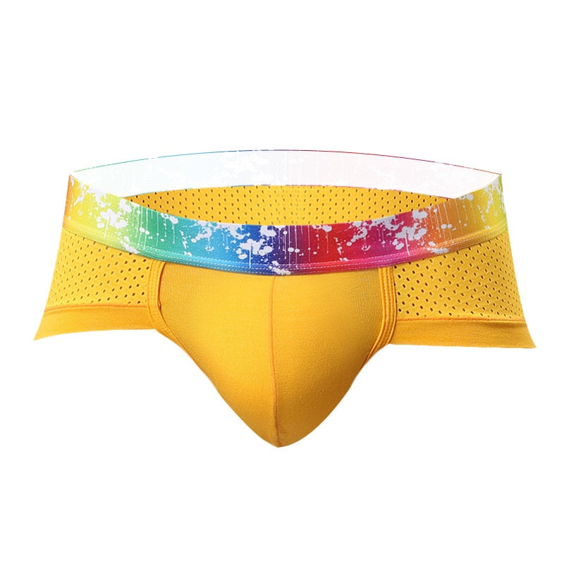 Splash Mesh Low Rise Briefs