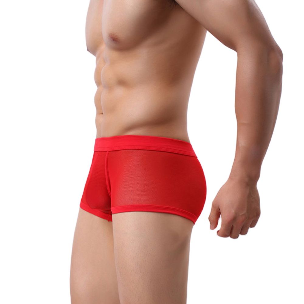 sheer trunks for men