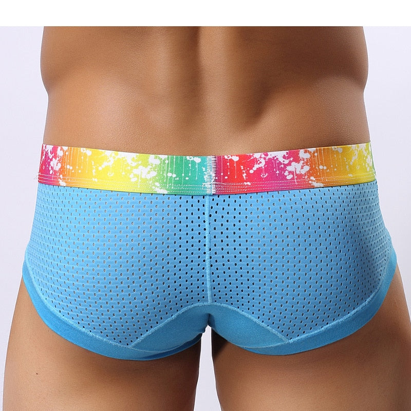 Splash Mesh Low Rise Briefs