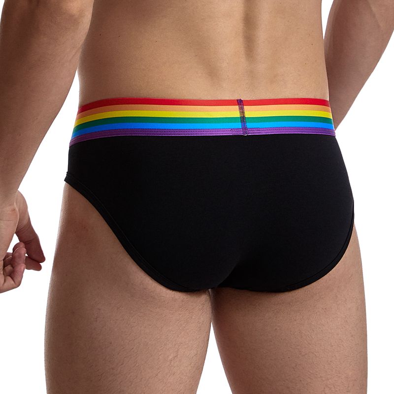 rainbow briefs for men