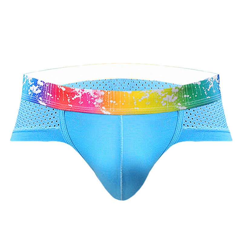 Splash Mesh Low Rise Briefs