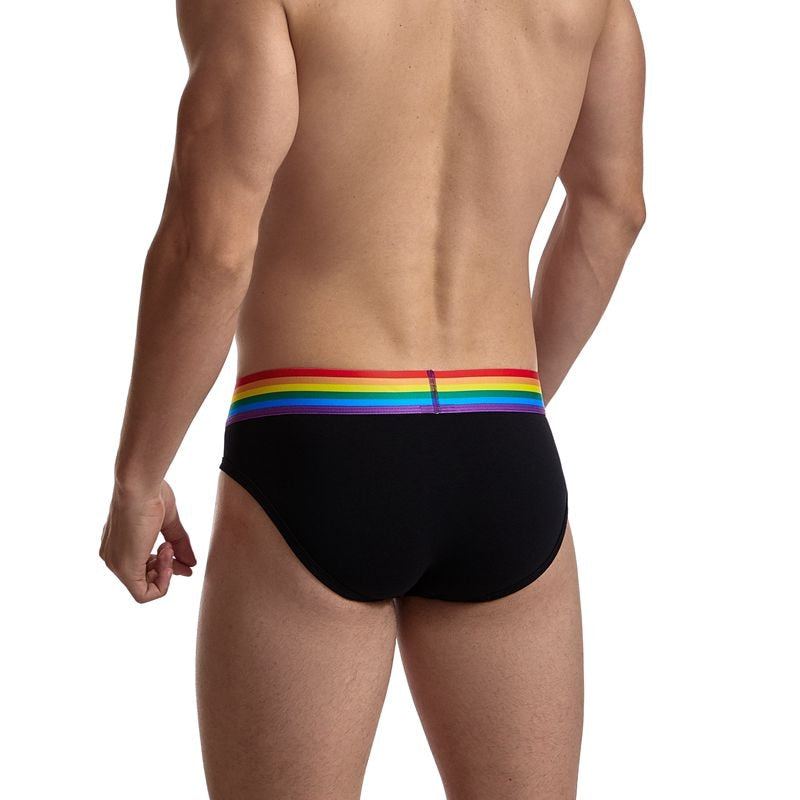 rainbow briefs for men