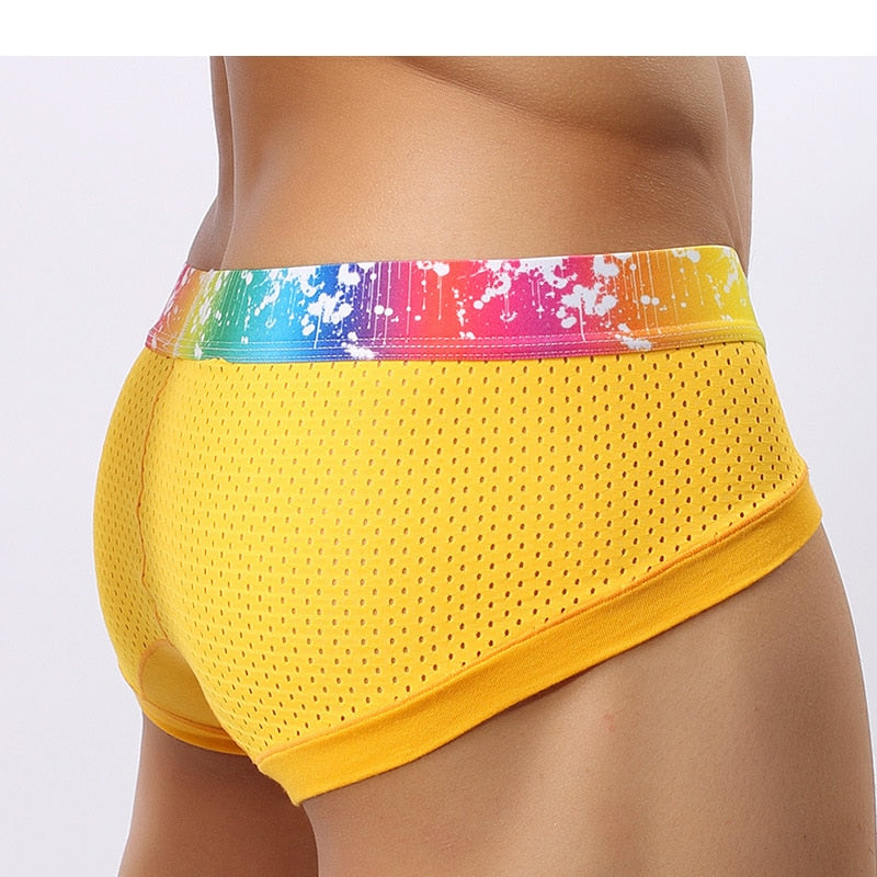 Splash Mesh Low Rise Briefs