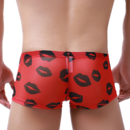 men's sheer underwear trunk