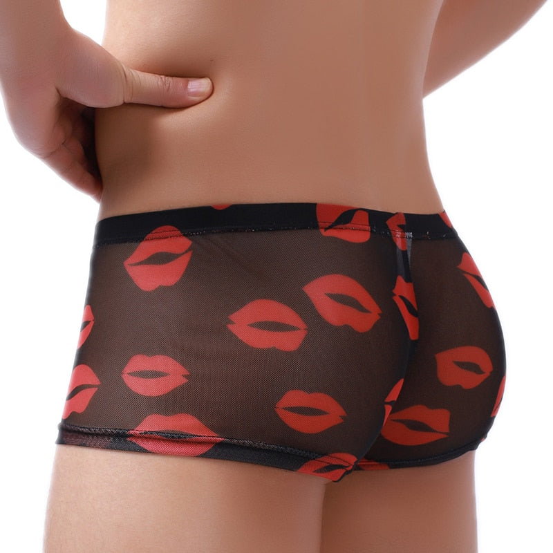 men's sheer underwear trunk