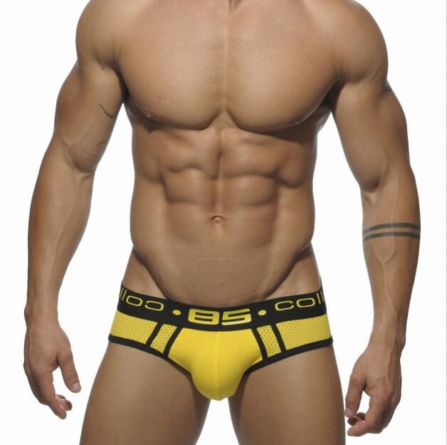 85 Mesh Briefs