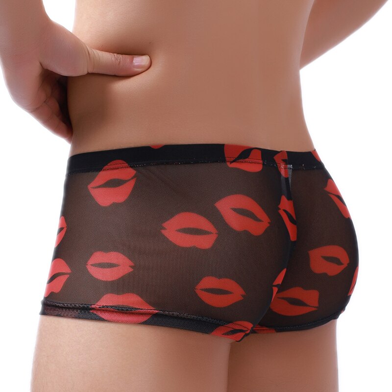 men's sheer underwear trunk