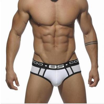 85 Mesh Briefs