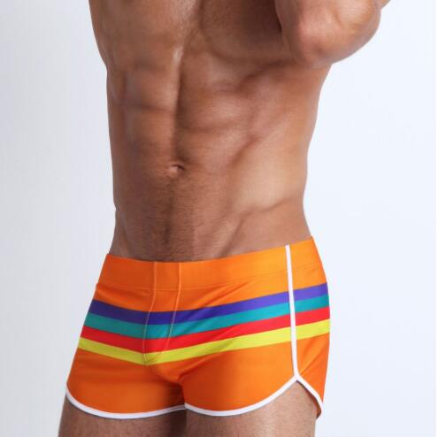 striped low waist men's swimming brief