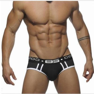 85 Mesh Briefs