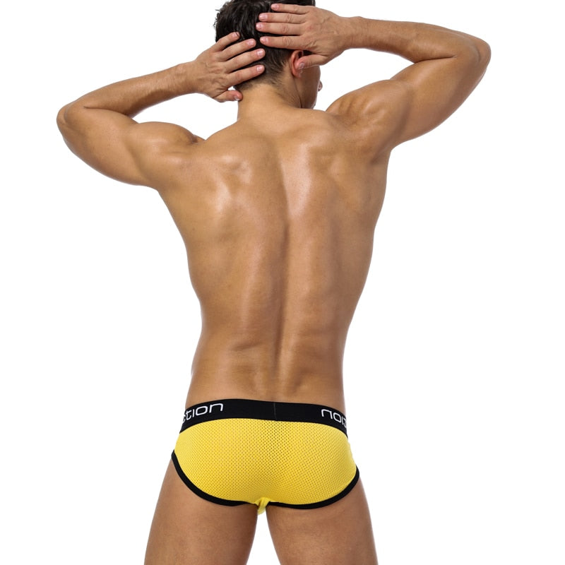 85 Mesh Briefs