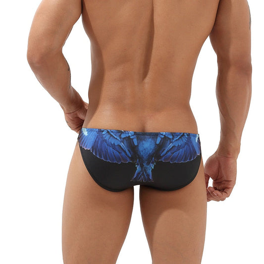 declaration briefs for men