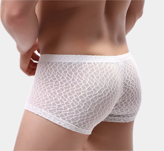 Clouds Lace Breathable Boxer Briefs