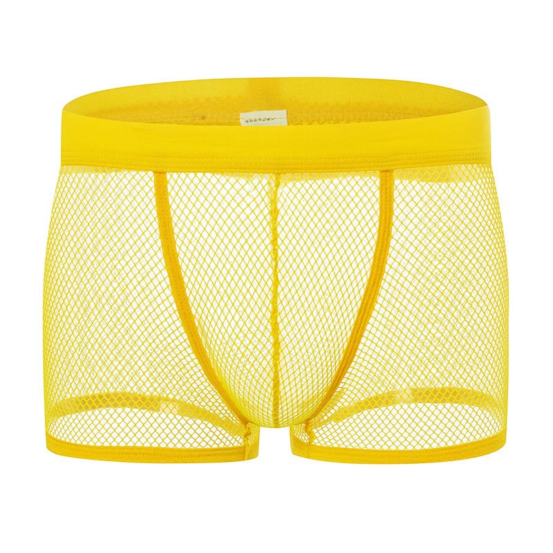 Mesh Boxer Trunk Briefs