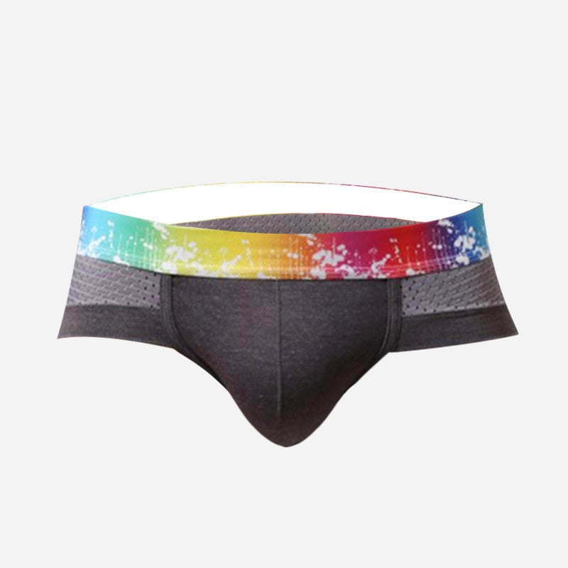 Splash Mesh Low Rise Briefs