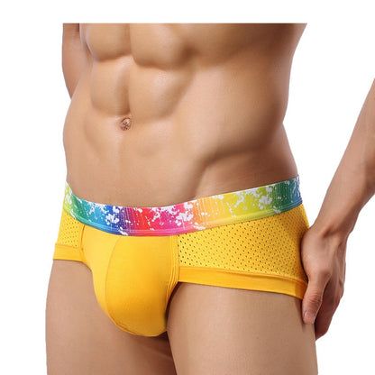 Splash Mesh Low Rise Briefs