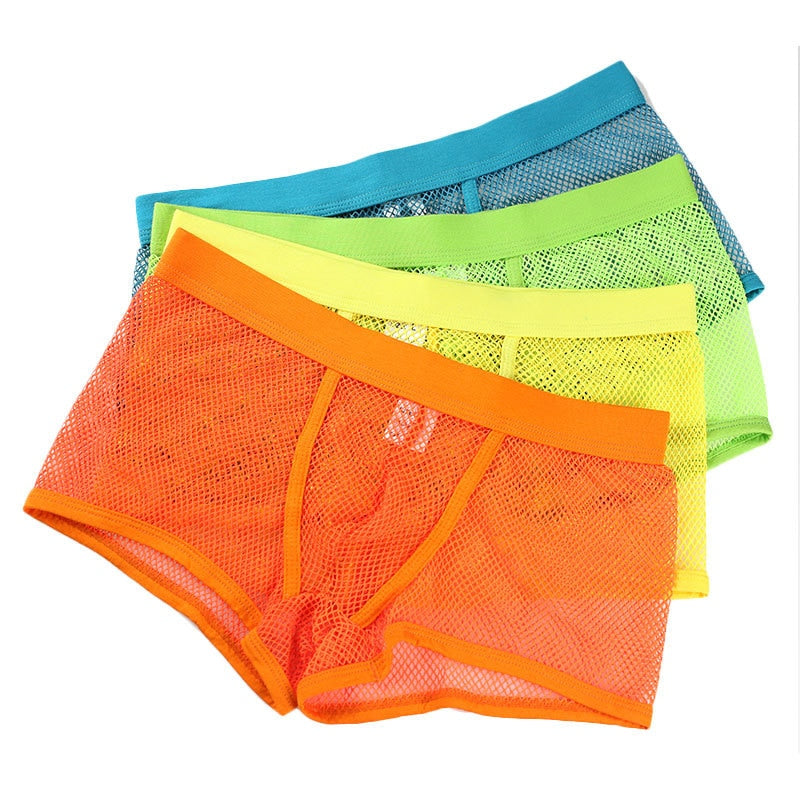 Mesh Boxer Trunk Briefs