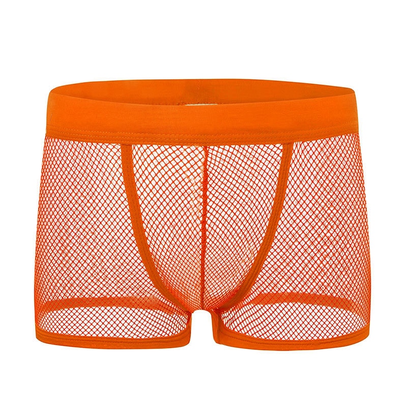 Mesh Boxer Trunk Briefs