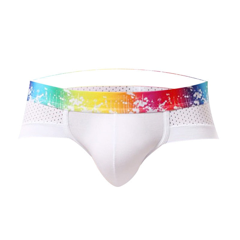 Splash Mesh Low Rise Briefs