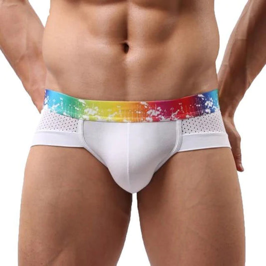 Splash Mesh Low Rise Briefs